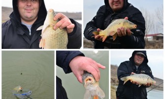 Localizarea pestilor - De la agonie la extaz